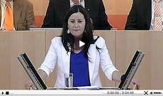 2011_06_09_video_wissler-2