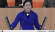 2012 02 01 video wissler