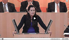 2013 06 27 Janine Wissler4