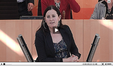 2014 04 01-03 j wissler